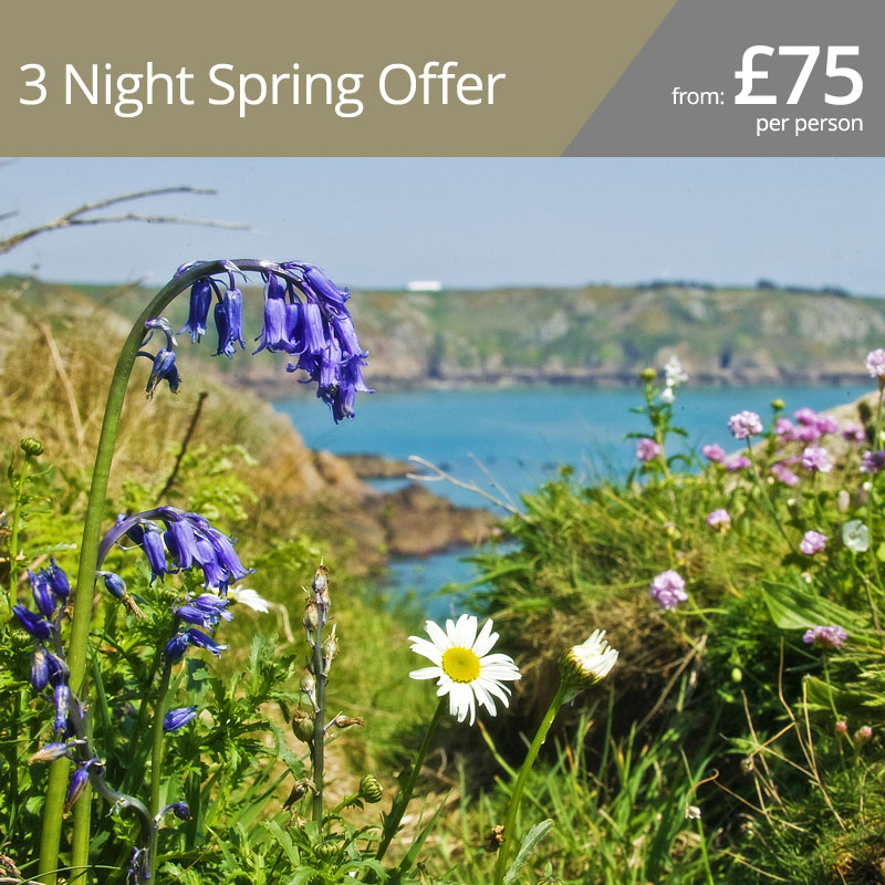 Winter Warmer Offer.